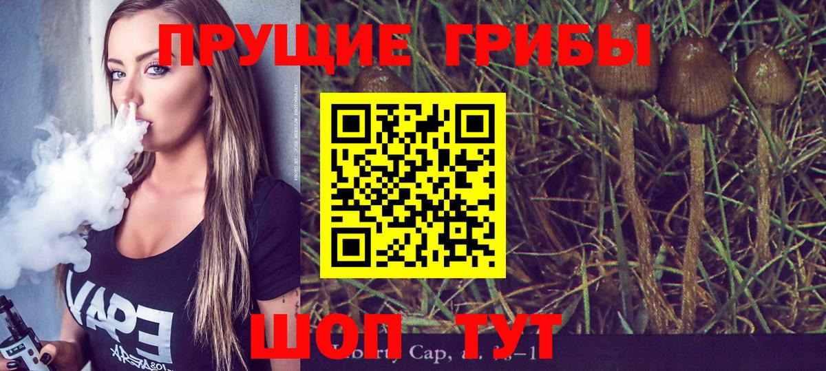 Рязань  Галлюциногенные грибы мицелий  Вход с VPN 
