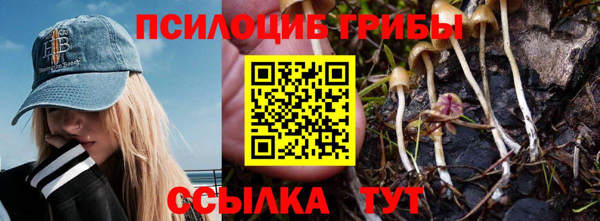 Псилоцибиновые грибы Cubensis Рязань
